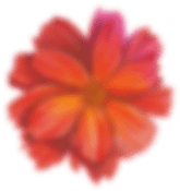 flower.png